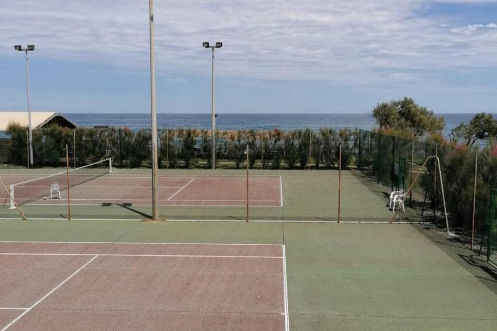 Studio 4 Personnes Bord De Mer Avec Piscine Wifi Cervione Kültér fotó