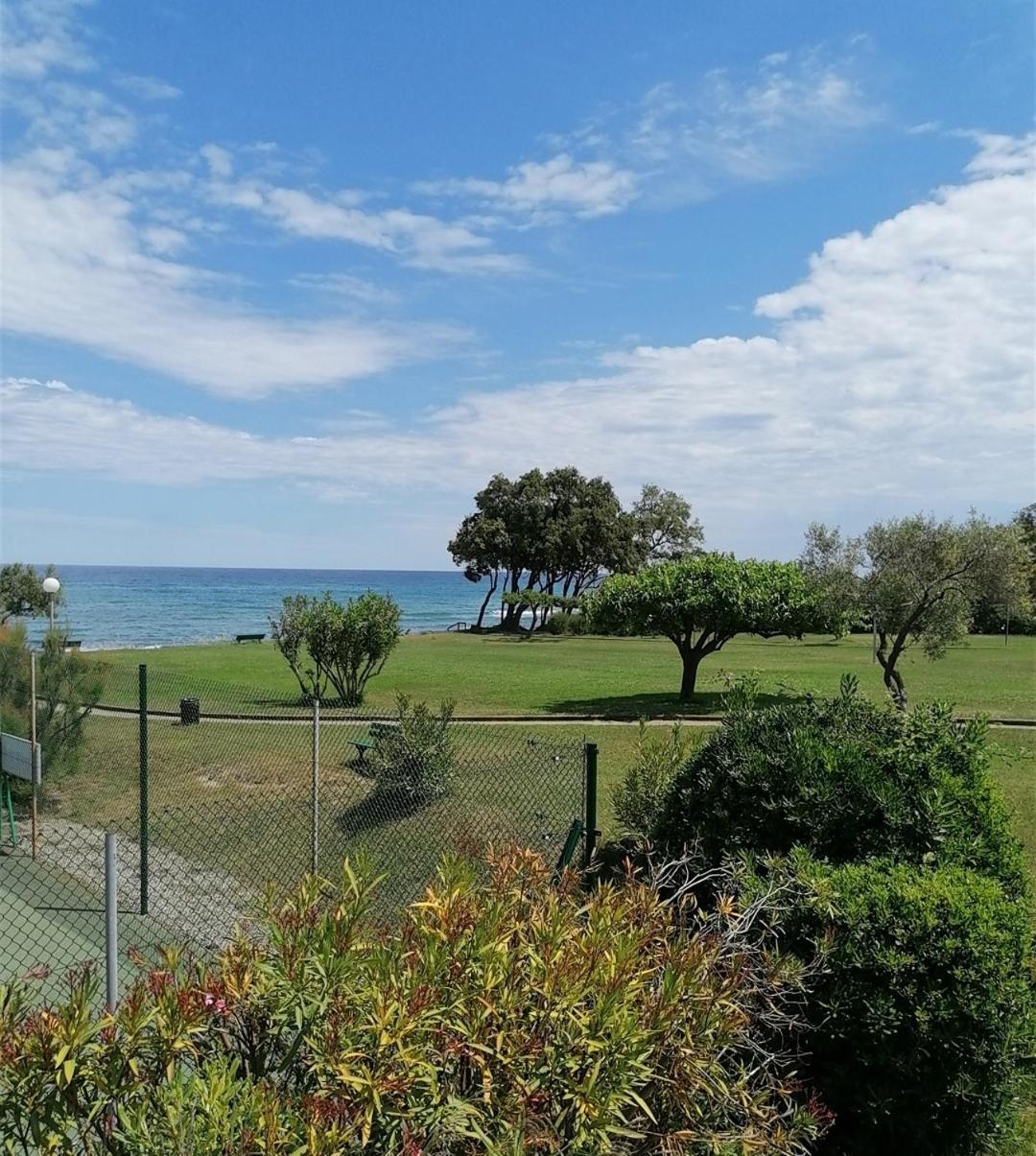 Studio 4 Personnes Bord De Mer Avec Piscine Wifi Cervione Kültér fotó